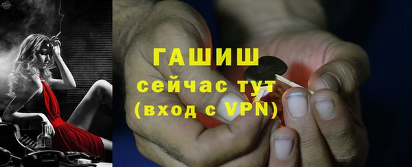 мдпв Козельск