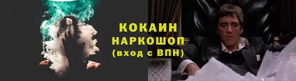 мдпв Козельск