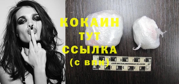 мдпв Козельск