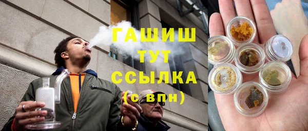 мдпв Козельск