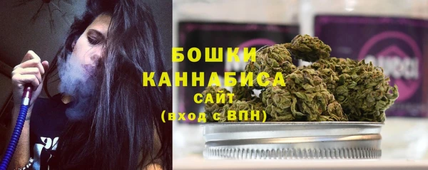 мдпв Козельск