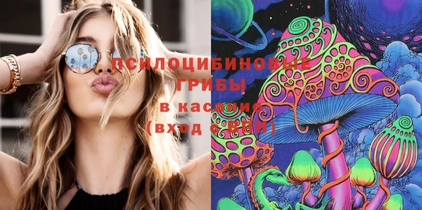 мдпв Козельск