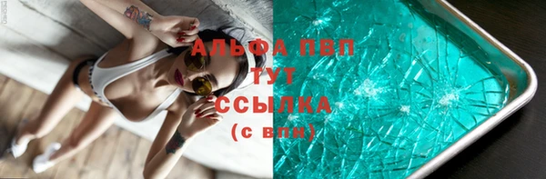 мдпв Козельск