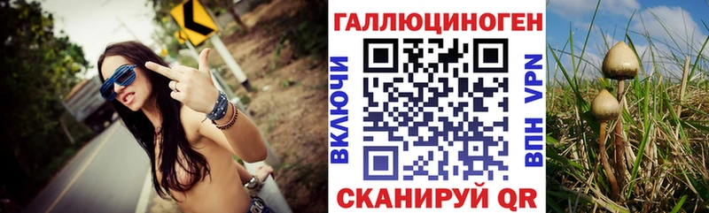 Купить  Реж  Псилоцибиновые грибы Psilocybine cubensis 